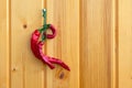 Dried red hot chili pepper as spicy flavoring for meal. A group of bright red Thai Chili peppers with green stem on wooden backgro Royalty Free Stock Photo