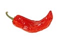 Dried red hot chili pepper isolated on white background Royalty Free Stock Photo