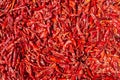 Dried red hot chili peppers, outdoor sun drying method