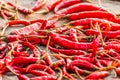 Dried red hot chilli Royalty Free Stock Photo