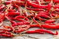 Dried red hot chilli chillies Royalty Free Stock Photo