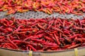 Dried red hot chilli chillies pepper Royalty Free Stock Photo