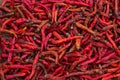 Dried red hot chilli chillies pepper Royalty Free Stock Photo