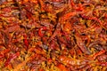 Dried red hot chilli chillies pepper Royalty Free Stock Photo