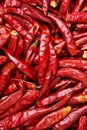 Dried red hot chilli Royalty Free Stock Photo