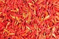 Dried red hot chillies texture background Royalty Free Stock Photo