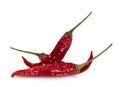 Dried red hot peppers isolated on white