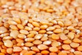 Dried Red Lentils Royalty Free Stock Photo