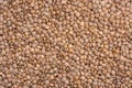 Dried Red Lentils Royalty Free Stock Photo