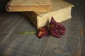 Dried red rose bud on the background of old books on the table made of old wood Royalty Free Stock Photo