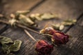 Dried red rose, dead red rose with two red heart on woodeng Royalty Free Stock Photo