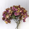 Dried red rose flower bundle and scattered petals isolated on bright wooden table background Royalty Free Stock Photo