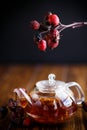 Dried red rose hips and tea Royalty Free Stock Photo