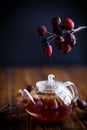 Dried red rose hips and tea Royalty Free Stock Photo