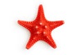 Dried red sea starfish Royalty Free Stock Photo