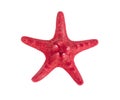 Dried red starfish on white. Photo Royalty Free Stock Photo