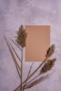 Dried reed flowers and camel paper sheet on dusk concrete