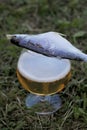Dried river fish lies on a glass of beer. The glass is on the grass Royalty Free Stock Photo