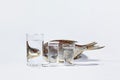 Dried fish distortedly reflecting in glasses with transparent liquid on white background Royalty Free Stock Photo