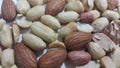 Dried and roasted peanuts and almonds out of shell. A fruit for background