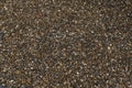 Dried Robusta Coffee Bean Cherry with greenhouse solar drying system. Dry with Natural Process Royalty Free Stock Photo