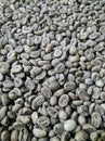 Dried Robusta coffee beans ready to be roasted in the photo from above Royalty Free Stock Photo
