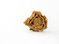 Dried rose