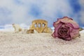 Dried Rose on Beach With Horse Carriage in Background Royalty Free Stock Photo