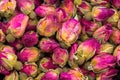 Dried rose buds with magenta pink petals to make aromatic herbal Royalty Free Stock Photo