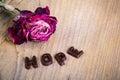 Dried rose and chocolate word HOPE Royalty Free Stock Photo