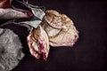 Dried rose flower on dark background Royalty Free Stock Photo