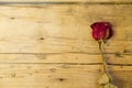 Dried rose flower on wooden background Royalty Free Stock Photo