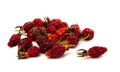 Dried rose hips