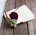 Dried rose laying over an open book Royalty Free Stock Photo