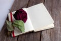 Dried rose laying over an open book Royalty Free Stock Photo