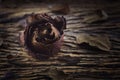 Dried Rose on old wooden board, broken heart concept