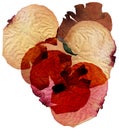 Dried rose petals Royalty Free Stock Photo