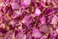 Dried rose petals as background. Purple rose flowers, close-up. Royalty Free Stock Photo