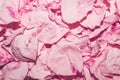 Dried rose petals.Background of rose petals. Royalty Free Stock Photo