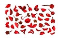 Dried rose petals isolated on white background Royalty Free Stock Photo