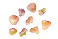 Dried rose petals isolated on white Royalty Free Stock Photo