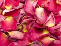 Dried rose petals Royalty Free Stock Photo