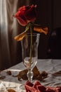 Dried rose in a vase. Relationship problems, disappointment, depression, loneliness.