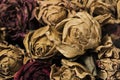 dried rose. Withered roses.selective focus point Royalty Free Stock Photo