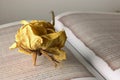 DRIED ROSE WITH A YELLOW HUE ON AN OPEN BOOK Royalty Free Stock Photo