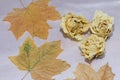 Dried rosebuds and maple leaves on a beige fabric. Autumn still life