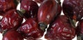 Dried rosehips on a white isolated background Royalty Free Stock Photo