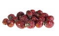 Dried rosehips on a white isolated background Royalty Free Stock Photo