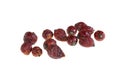 Dried rosehips on a white isolated background Royalty Free Stock Photo