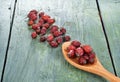 Dried rosehips ,wooden spoon,on wooden background.